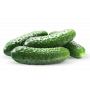 Огурцы Миринда Псков